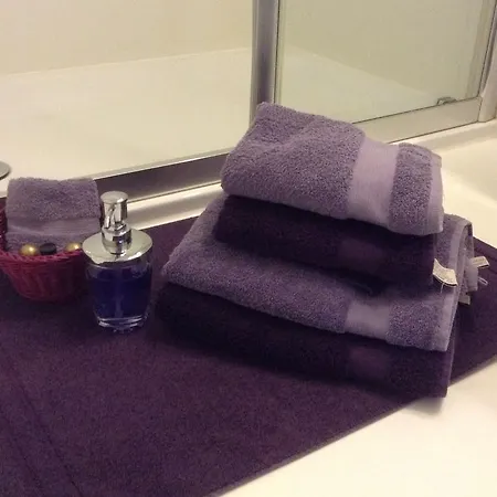 Bed and breakfast Het Schalienhof 4*